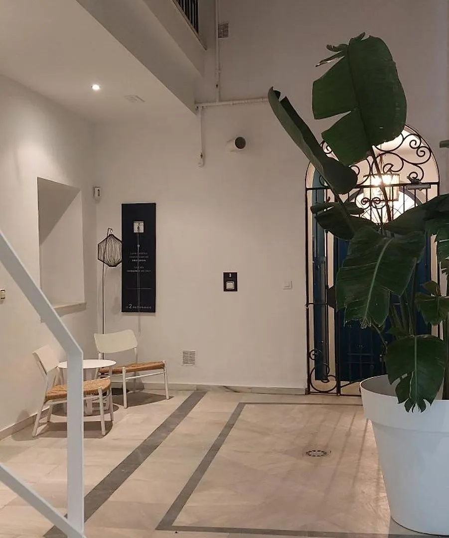 El 2 De Flamenco 2ºa Apartment Cadiz Spain