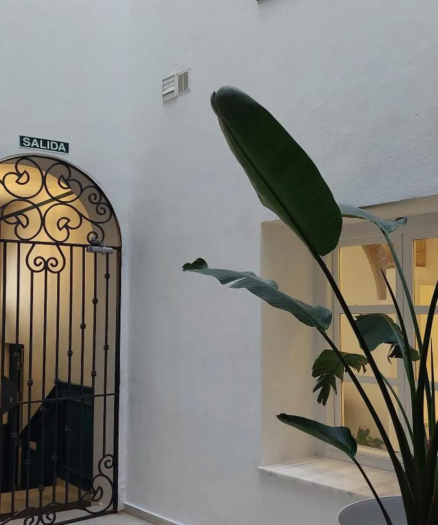 El 2 De Flamenco 2ºa Apartment Cadiz Spain